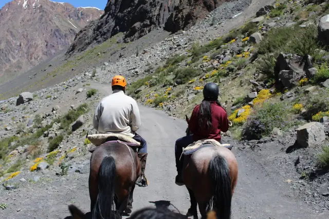 Dos jinetes avanzando a caballo por un camino de montaña con flores amarillas a los costados