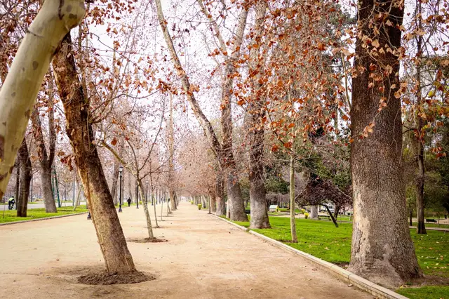 Parque Forestal de Santiago en otoño, parada del city tour