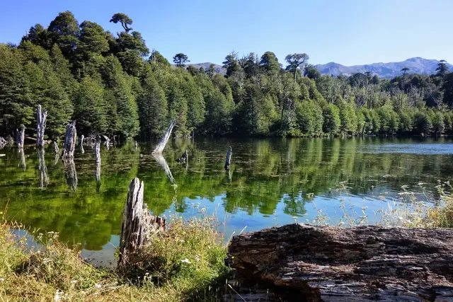 Paisaje natural en la Reserva Huilo Huilo, con árboles nativos reflejados en una laguna