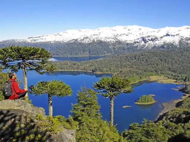 Turista contemplando los lagos y montañas de la Reserva Huilo Huilo