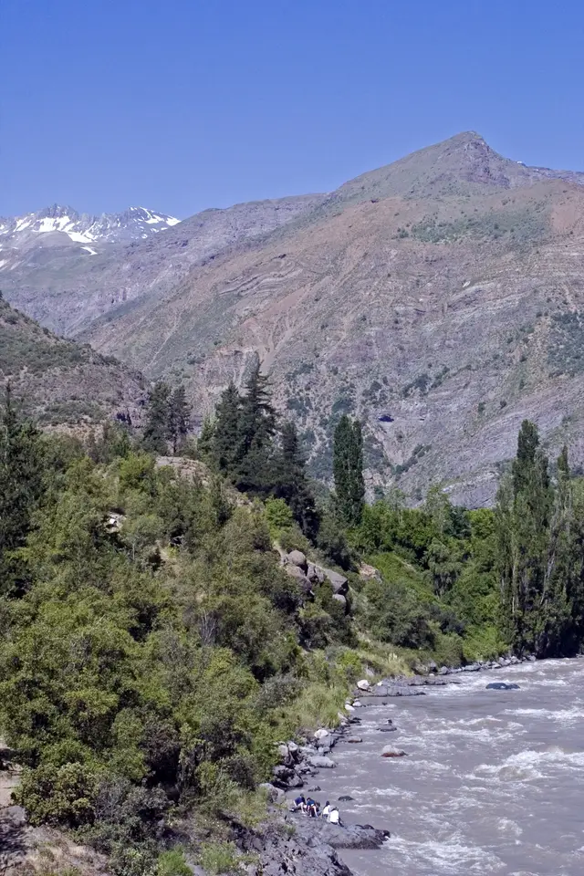 Río de aguas turbias entre álamos y pinos, con montañas de la precordillera de Santiago y cumbres con nieve al fondo