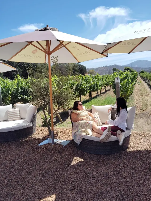 Relaxing among the vineyards on a terrace in the Casablanca Valley