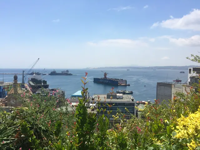 Vista da baía e do porto de Valparaíso de um mirante entre flores