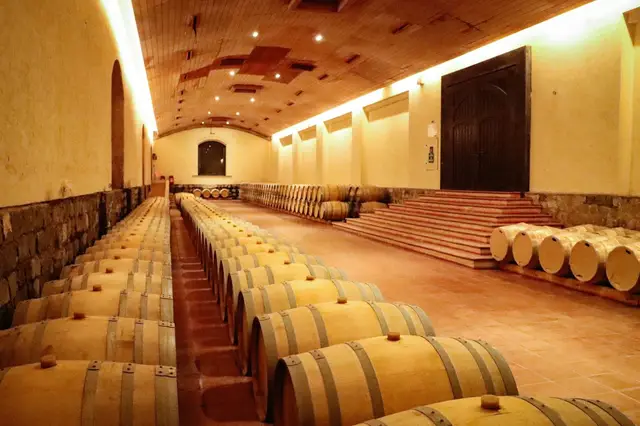 Cava de barricas de roble de la viña Concha y Toro