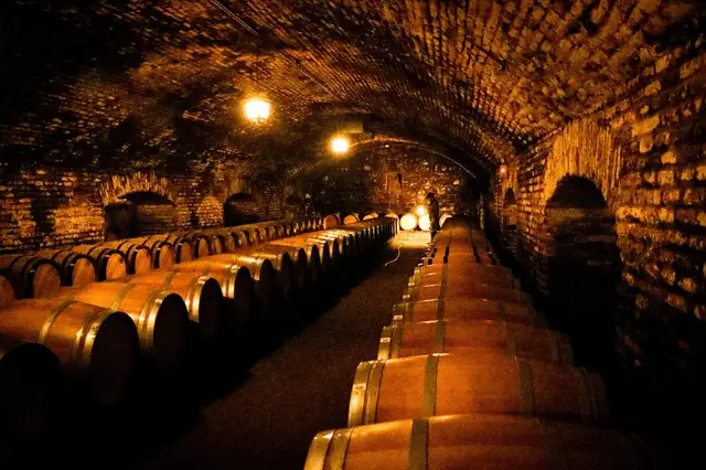 Túnel de ladrillo con barricas de vino en la cava de Concha y Toro