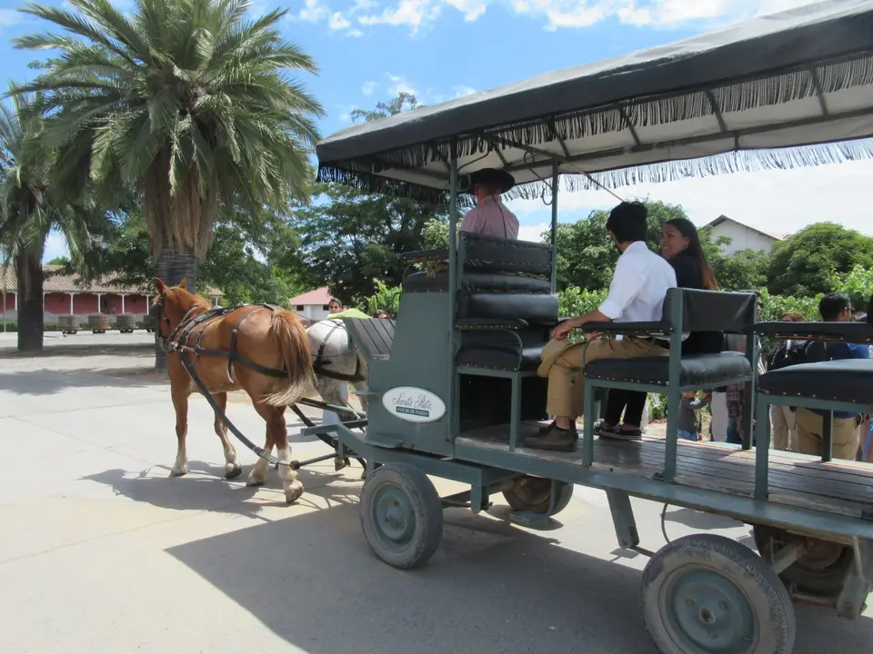 Carruaje tirado por caballos en los jardines de la Viña Santa Rita