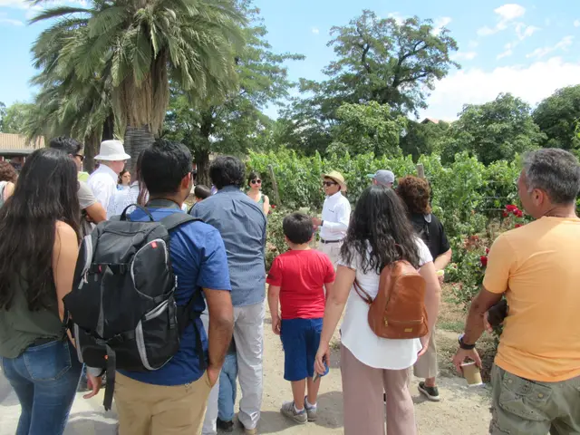 Grupo de visitantes recorriendo los viñedos con el guía