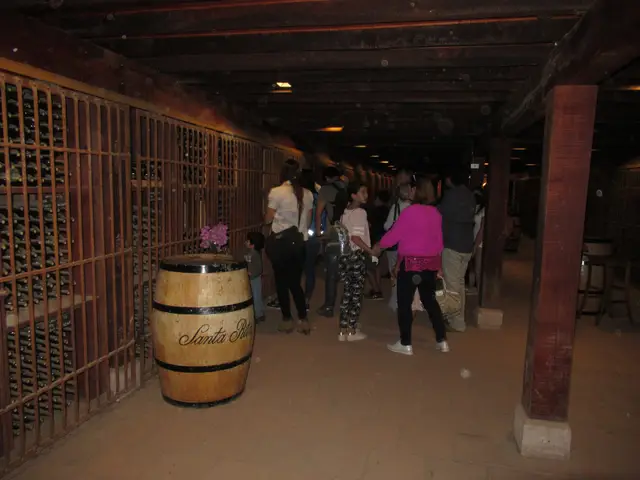 Visitantes en la cava subterránea junto a un tonel de la Viña Santa Rita