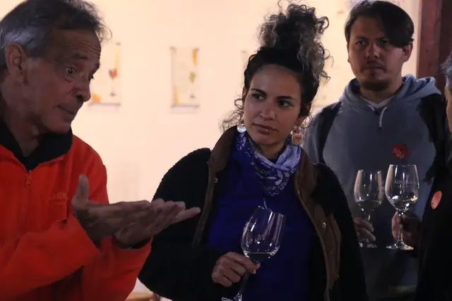 Cata de vinos guiada en la Viña Undurraga