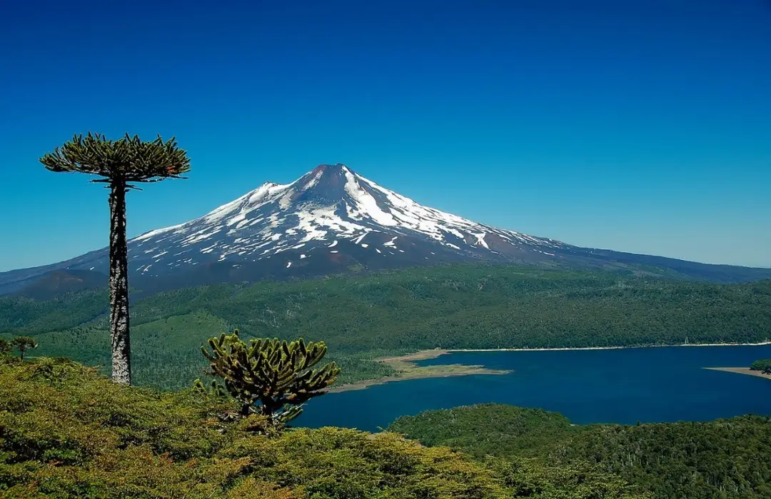 Volcán Mocho-Choshuenco con nieve, rodeado de bosques y lagos en la Región de los Ríos
